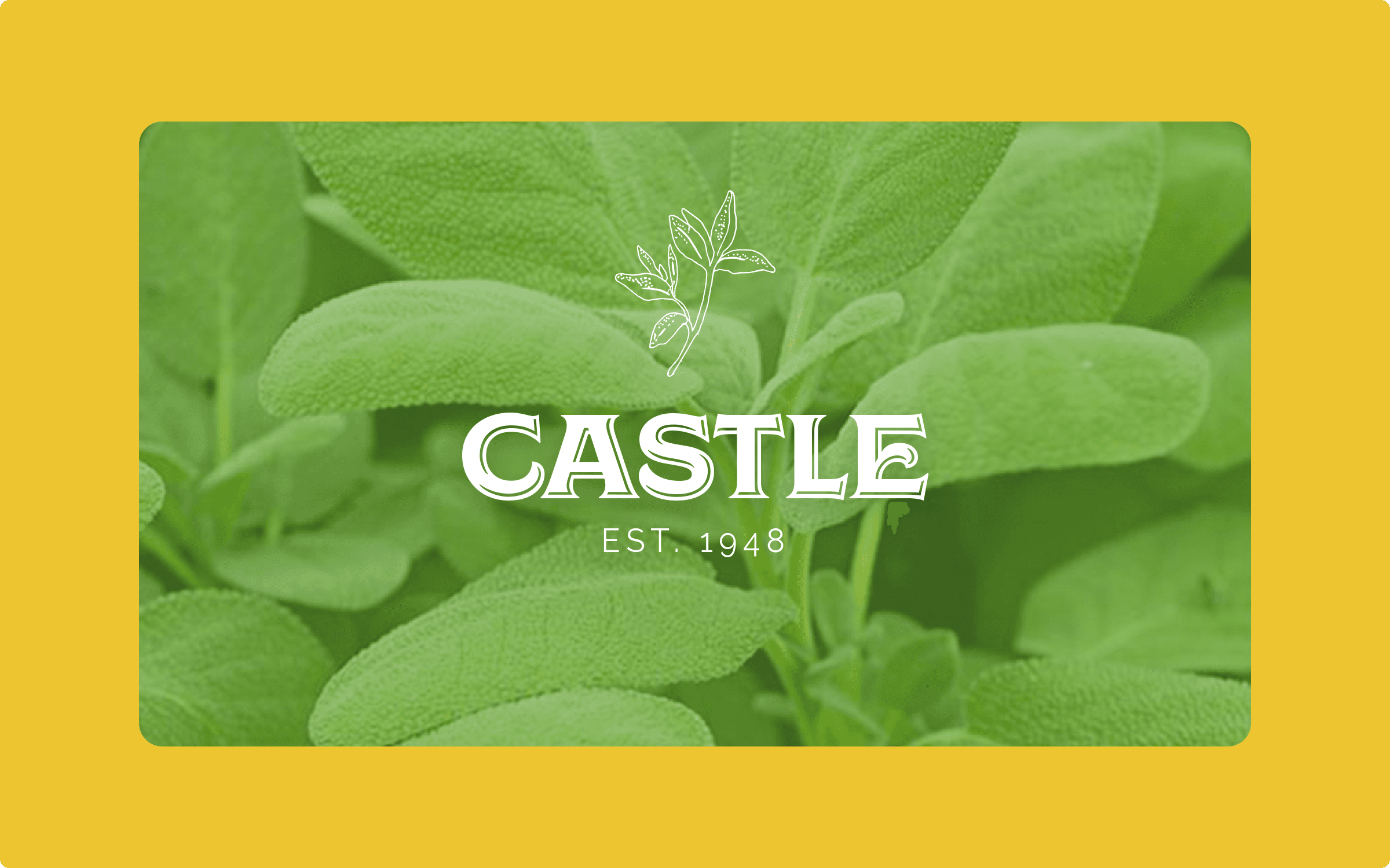 Castle Foods brand identity hero